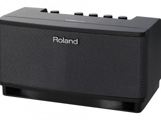 Roland Cube Lite